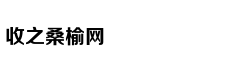阿姆斯特丹运河被冰封